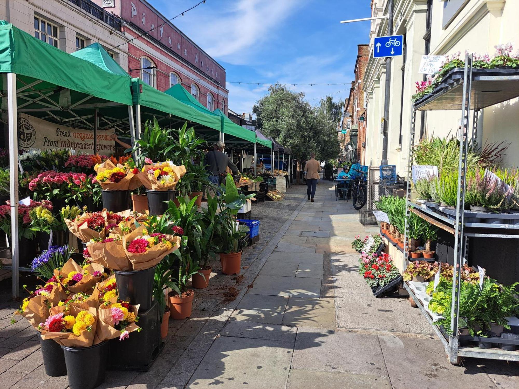 Clapham Serenity Garden Retreat With Free Parking London Exteriör bild